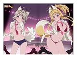 かのこん タペストリー 水着