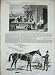 1856 Malacca Cambridgeshire Stakes Horse Racing Caracci