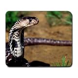 Snake cobra Large Mousepad mouse pad Great Gift Idea