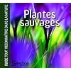 Plantes sauvages : Guide tout reconnaitre dans la nature