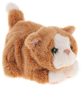 peluche chat sensoriel