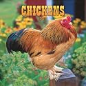 Chickens 2009 Square Wall Calendar