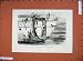 1880 Cutting Shark Port Louis Mauritius Men Boat Ship