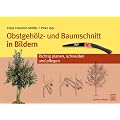 Obstgeh�lz- und Baumschnitt in Bildern: Richtig planen, schneiden und pflegen