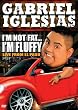 Gabriel Iglesias: I'm...