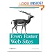 Even Faster Web Sites: Performance Best Practices for Web Developers