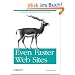 Even Faster Web Sites: Performance Best Practices for Web Developers