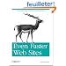 Even Faster Web Sites: Essential Knowledge for Frontend Engineers