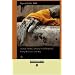 Touching Enlightenment (EasyRead Comfort Edition): Finding Realization in the body