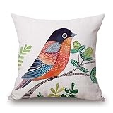 Pillow Shams Of Bird,for Her,teens Boys,festival,lounge,lover,kids Room 16 X 16 Inches / 40 By 40 Cm(two Sides)
