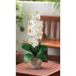 Single Stem Phalaenopsis Silk Orchid Arrangement