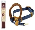 Petmate 5/8-Inch by 14-20-Inch Small AKC Padded Dog Halter, Blue
