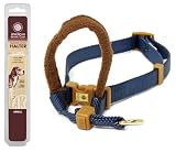 Petmate 3/4-Inch by 16-24-Inch Medium AKC Padded Dog Halter, Blue