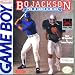 Bo Jackson Baseball and Football