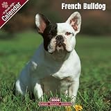 Eigenschaften Avonside Publishing Ltd.  / Kalender 2009 French Bulldog - Französische Bulldogge