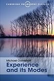 Experience and its modes