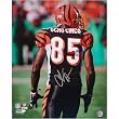 Chad Johnson Autographed Ocho Cinco 16X20 Photograph Sports Football