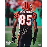 Chad Johnson Autographed Ocho Cinco 16X20 Photograph Sports Football