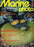 Marine Photo (マリンフォト) 2008年 04月号 [雑誌]