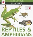 Reptiles & Amphibians (Facts at Your Fingertips)