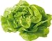 amorebio Bio Salat Kopfsalat rot / grün 1 Stk