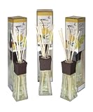 51jZlH1stEL. SL160  Greenair All Natural Aromatherapy Reed Diffuser Set, Maui Pineapple