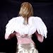 Beautiful New White Feather Angel Wings with Free Halo