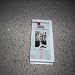 Books : Lee Smith (Video Tape; Signature-Contermporary Southern Writers)