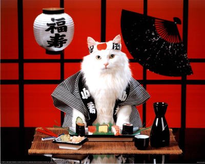 (16x20) Sushi Felid (Japanese) Photo Print Poster photo (16x20) Sushi Felid (Japanese) Photo Print Poster