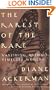 The Rarest of the Rare: Vanishing Animals, Timeless Worlds