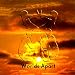 Raining in Ashville at Amazon mp3: 51ja7tg%2BUCL._SL75_
