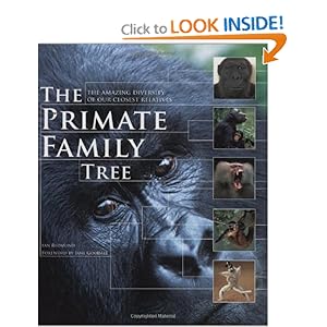 The Primate Family Tree: The Amazing Diversi