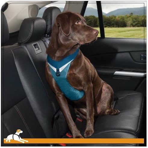 Kurgo Go-Tech Adventure Dog Harness, Large, Blue - Lifetime Warranty by Kurgo