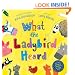 What The Ladybird Heard