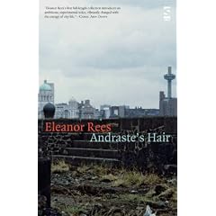 Andrastes Hair (Salt Modern Poets)