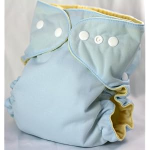 Rocky Mountain Diapers Berry and Lemon One Size Pocket Diaper