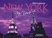 New York New York 2010 Wall Calendar