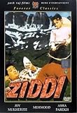Ziddi