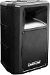 MARATHON MA-10P ACTIVE 10" 2-WAY ABS LOUDSPEAKER 250 WATTS
