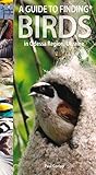 A guide to finding birds in Odessa Region, Ukraine