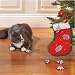 Cat Christmas Stocking - Zanies Holiday Stocking with Mice - Cat Toy