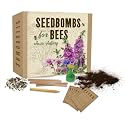 Seedbombs for Bees