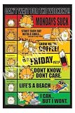 GARFIELD DAYS OF THE WEEK MOVIE POSTER [Toy]