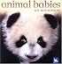 Animal Babies on Mountains (Animal Babies)