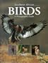 Southern African Birds: A Photographic Guide