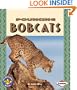Pouncing Bobcats (Pull Ahead Books)
