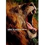 Safari in Wildest Africa (Journeys Through World & Natur)