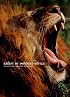 Safari in Wildest Africa (Journeys Through World & Natur)