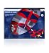 Outdoor RC Plane