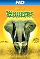 play video on Amazon Instant Video